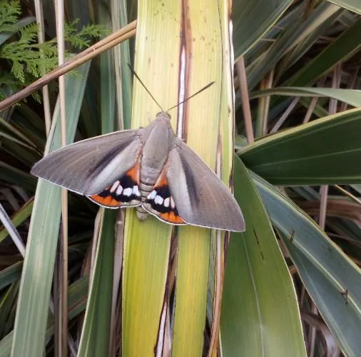 Lägenhet Au Coeur Des Collines Gersoise. Confort *