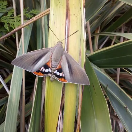 Apartment Au Coeur Des Collines Gersoise. Confort *